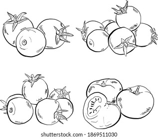 Set of Hand drawn Tomatoes, Vector Illustrations in black and white