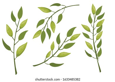 Set of hand drawn tree branches with leaves botanical flowers floral hand drawn scandinavian style art design element flat vector illustration