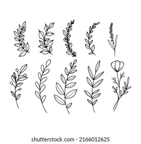 Set of hand drawn tree branches and leaves