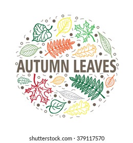 Set of hand drawn tree leaves