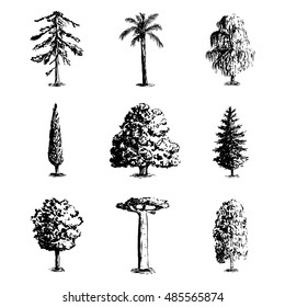 Set of hand drawn tree sketches - oak, palm tree, willow, pine, cypress, baobab, birtch maple spruce