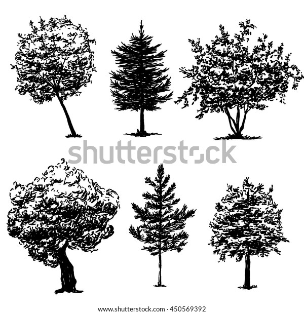 Set Hand Drawn Tree Sketches Black Stock Vector (Royalty Free ...