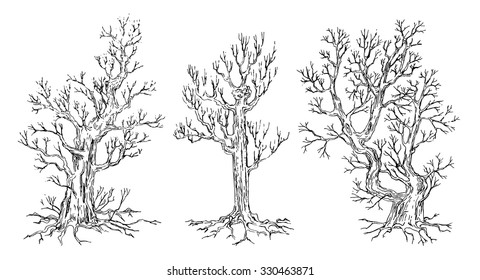 Set of hand drawn trees. Drawing illustration vector