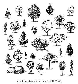 1,373,668 Tree drawing Images, Stock Photos & Vectors | Shutterstock