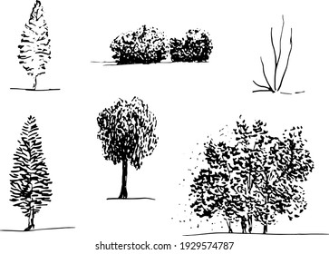 Set of hand drawn trees sketch style. Black isolated plants on white background. Vector illustration monochrome.