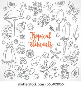 Set of hand drawn tropical elements. Flamingo, butterfly, toucan, macaw, shell, cocktail, bamboo, carambola, avocado, dragon fruit, cockatoo, pineapple, starfish. Perfect for coloring books