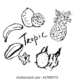 Set of hand drawn  tropical fruits