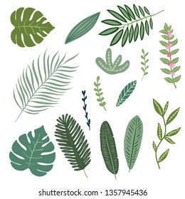 Set of hand drawn tropical leaves