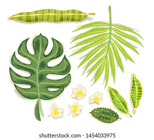 Set of hand drawn tropical leaves: palm, monstera, banana and plumeria flowers.  Vector botanical flat lay illustration for your design