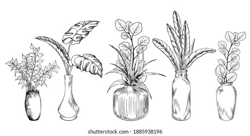 Set of hand drawn tropical leaves in bottles. Vector illustration isolated on white background.