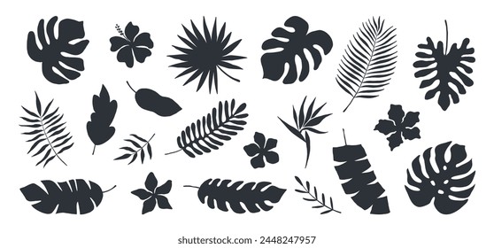 Set of hand drawn tropical leaves. Silhouettes of abstract branches in minimalist style. Vector illustration in black white colors.