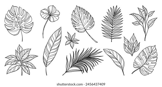 Set of hand drawn tropical leaves. Outline vector illustration