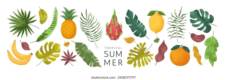 Set of hand drawn tropical leaves and fruits. Palm, banana leaf, monstera, orange, lemon, pineapple, dragon fruit. Exotic plants. Summer design elements. Vector botanical illustration.