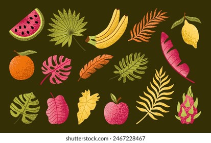 Set of hand drawn tropical leaves and fruits. Palm, banana leaf, monstera, orange, lemon, apple, dragon fruit. Exotic plants. Summer design elements. Vector botanical illustration.