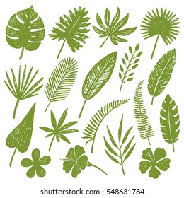 Set of hand drawn tropical leaves and flowers.Vector illustration.