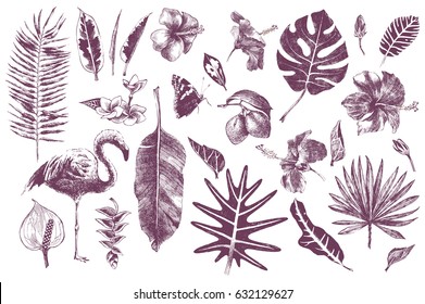 Set of hand drawn tropical leaves, flowers and flamingo. Vector illustration