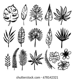 Set Of Hand Drawn Tropical Leaves And Flowers.Vector Illustration.