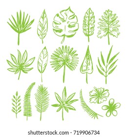 Set of hand drawn tropical leaves and flowers.Vector illustration.