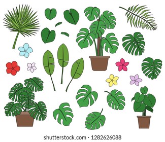 Set of hand drawn tropical plants in cartoon doodle style including cheese plants, banana leaf, pot plants and flowers. Colour filled.