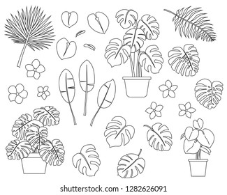 Set of hand drawn tropical plants in cartoon doodle style including cheese plants, banana leaf, pot plants and flowers. Unfilled outlines.