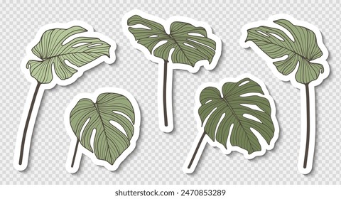 Set of hand drawn tropical stickers with green monstera leaves isolated on a transparent background.