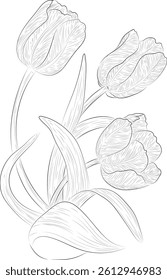 Set of Hand Drawn Tulip Flower Illustration, Tulip Floral Line