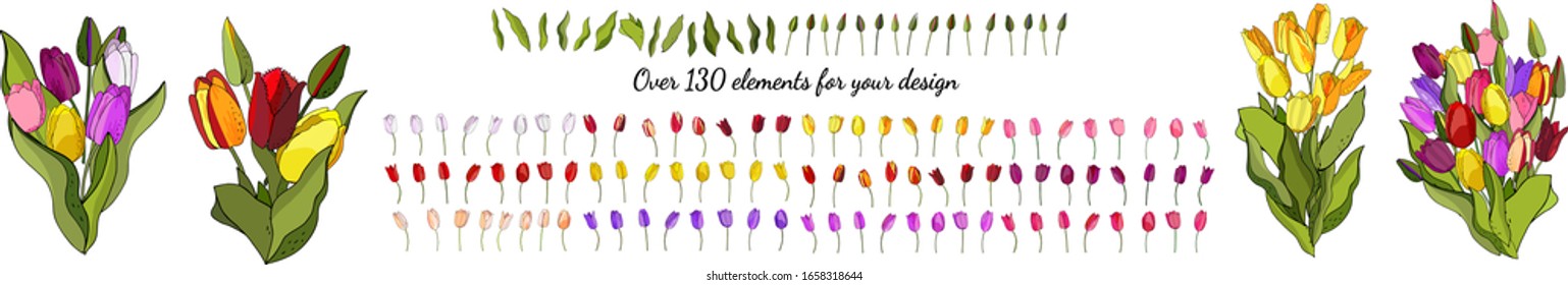 Set of hand drawn tulip flowers isolated on white background. 
The blank for your design. Color tulips flowers, leafs and blooms on white background. Construct your own tulips or tulip wreath. Element