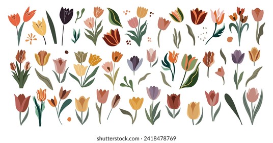 Set of hand drawn tulip flowers design elements.