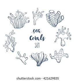 Set of hand drawn underwater coral reef elements. Vector  design  for your sea life illustration. Blue corals on white background