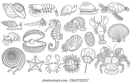 set of hand drawn underwater creatures. hermit crab, lobster, seashells, snail, coconut crab, sea turtle, sea star, cowry, chiton, nautilus, horseshoe crab