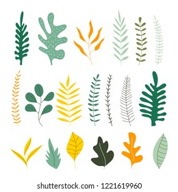 Set of hand drawn uneven herbs and leaves. Isolated vector illustration.