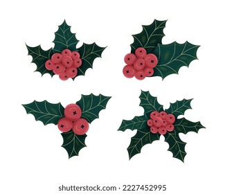 Set of hand drawn various Christmas plants. Colorful Mistletoe for design. Isolated on white background