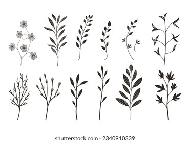 Set of hand drawn various herbs. Vector illustration isolated on white background