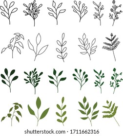Satz handgezeichneter Vektorillustration, botanische Elemente