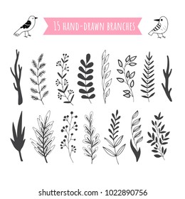 Set of hand drawn vector branches with leaves, flowers, berries. Design elements for invitations, greeting cards, quotes, blogs, posters, wedding frames.