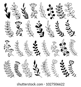 Set of hand drawn vector branches with leaves and berries