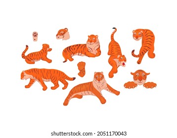 Set of hand drawn vector. Cartoon illustration. Illustration set of red tigers in various poses standing, sitting, lying down, beckoning