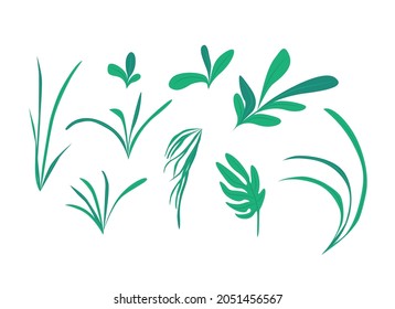 Satz handgezeichneter Vektorgrafik. Cartoon-Illustration. Illustrationssatz von grünen Blättern verschiedener Art