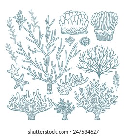 Set of hand drawn vector colorful underwater coral reef design elements for your sea art.