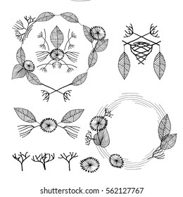 Set of hand drawn vector decorative frames. Stock vector illustration of leaves, swirls, floral elements for print and logo design in vintage style.