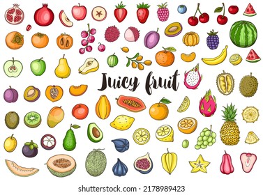 Set of hand drawn vector doodle juicy fruit on a white background