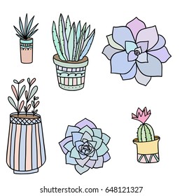 Set of hand drawn vector doodle succulents and cactus