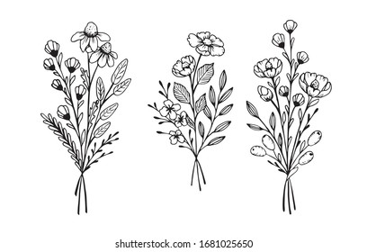 The set of hand drawn vector elements for your design. Leaves, swirls, floral elements.