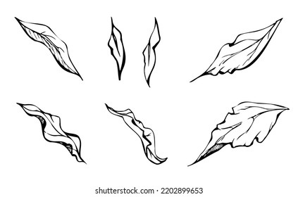 Set of hand drawn vector elements with peony flowers, buds and leaves. Isolated on white background. Design for wedding or greeting cards, invitations wallpaper, print, textile