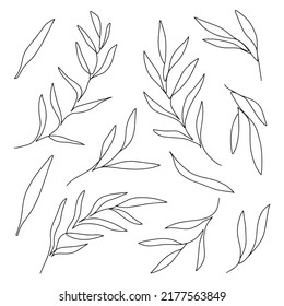 Set Of Hand Drawn Vector Eucalyptus Branches And Leaves. Botanical Elements For Invitations, Posters, Greeting Cards, Web, Menu. Line Art, One Line Floral Design Elements.