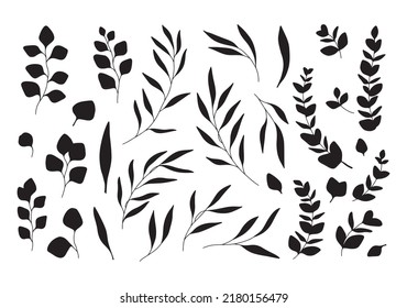 Set of hand drawn vector eucalyptus branches and leaves. Botanical elements for invitations, posters, greeting cards, web, menu.