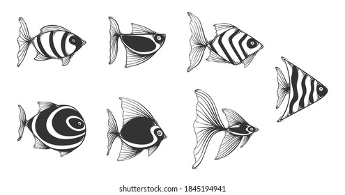 Conjunto de peces exóticos de vector dibujados a mano, aislados sobre fondo blanco.