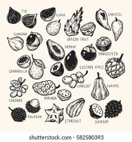 Set of hand drawn vector exotic fruits. Tropical fruits, vector collection. The most popular exotic plants. Dragon fruit, papaya, starfruit.