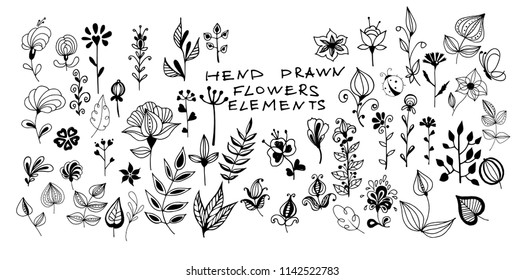 Set of hand drawn vector floral elements