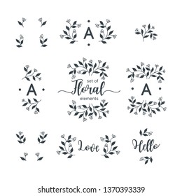 Set of hand drawn vector floral elements.